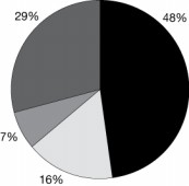 Pie graph