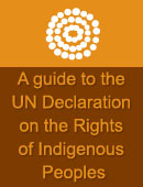 Community Guide to the UN Declaration on the Rights of Indigenous Peoples