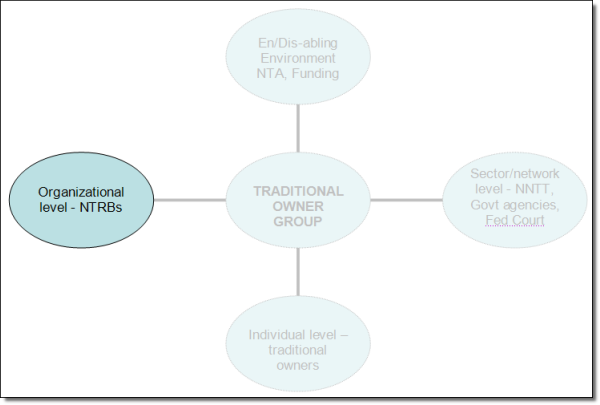 Diagram : CAPACITY BUILDING AND NATIVE TITLE. email webfeedback@humanrights.gov.au if you require the information in a more accessible format