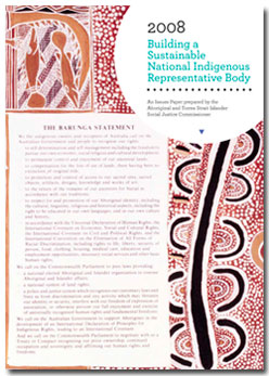 Building a sustainable National Indigenous Representative Body – Issues for consideration