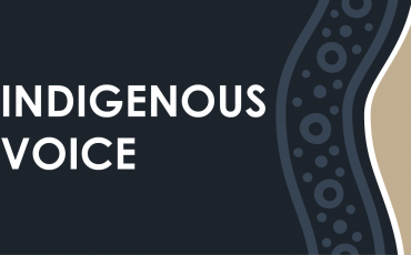 Graphic displaying the words 'Indigenous Voice'