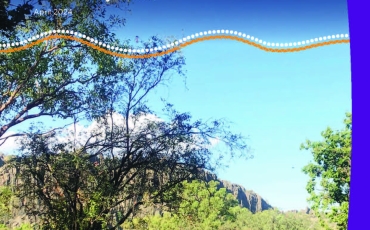 First Nations women meet in a circle in the bush